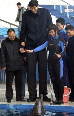  tallest man on earth. Matsson is of average height.